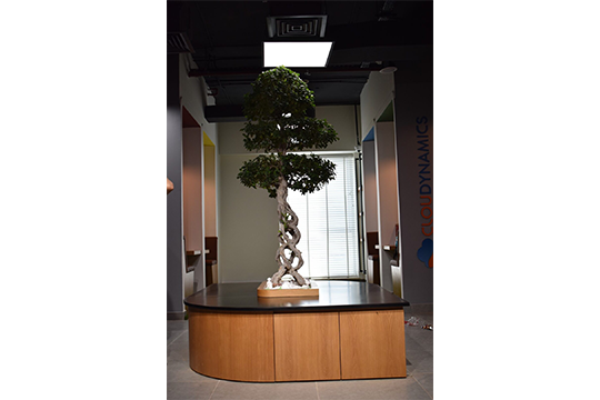 Century Infotech 1